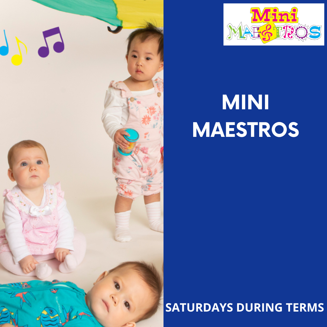 Mini Maestros