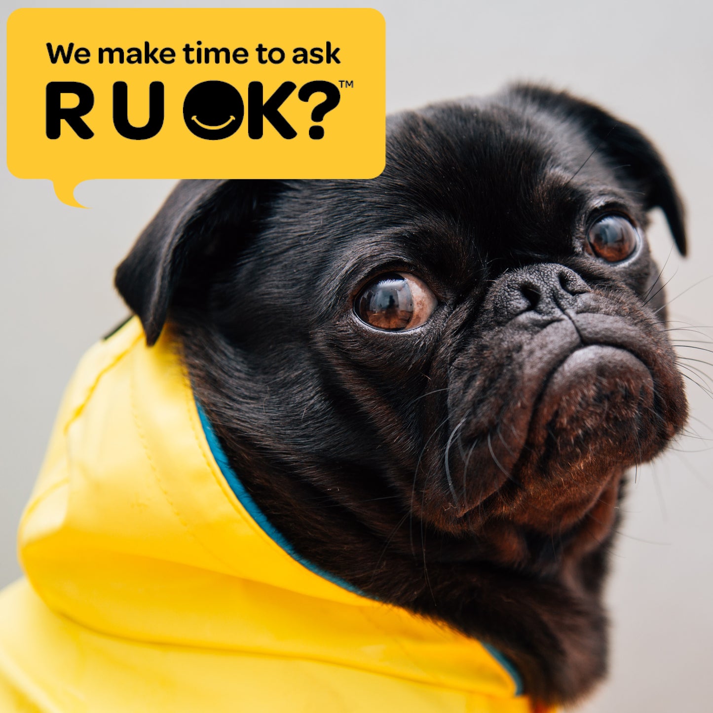 RU OK Day 2023