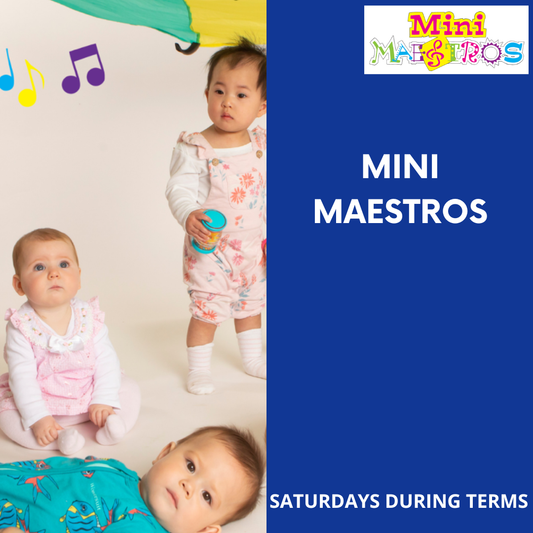 Mini Maestros